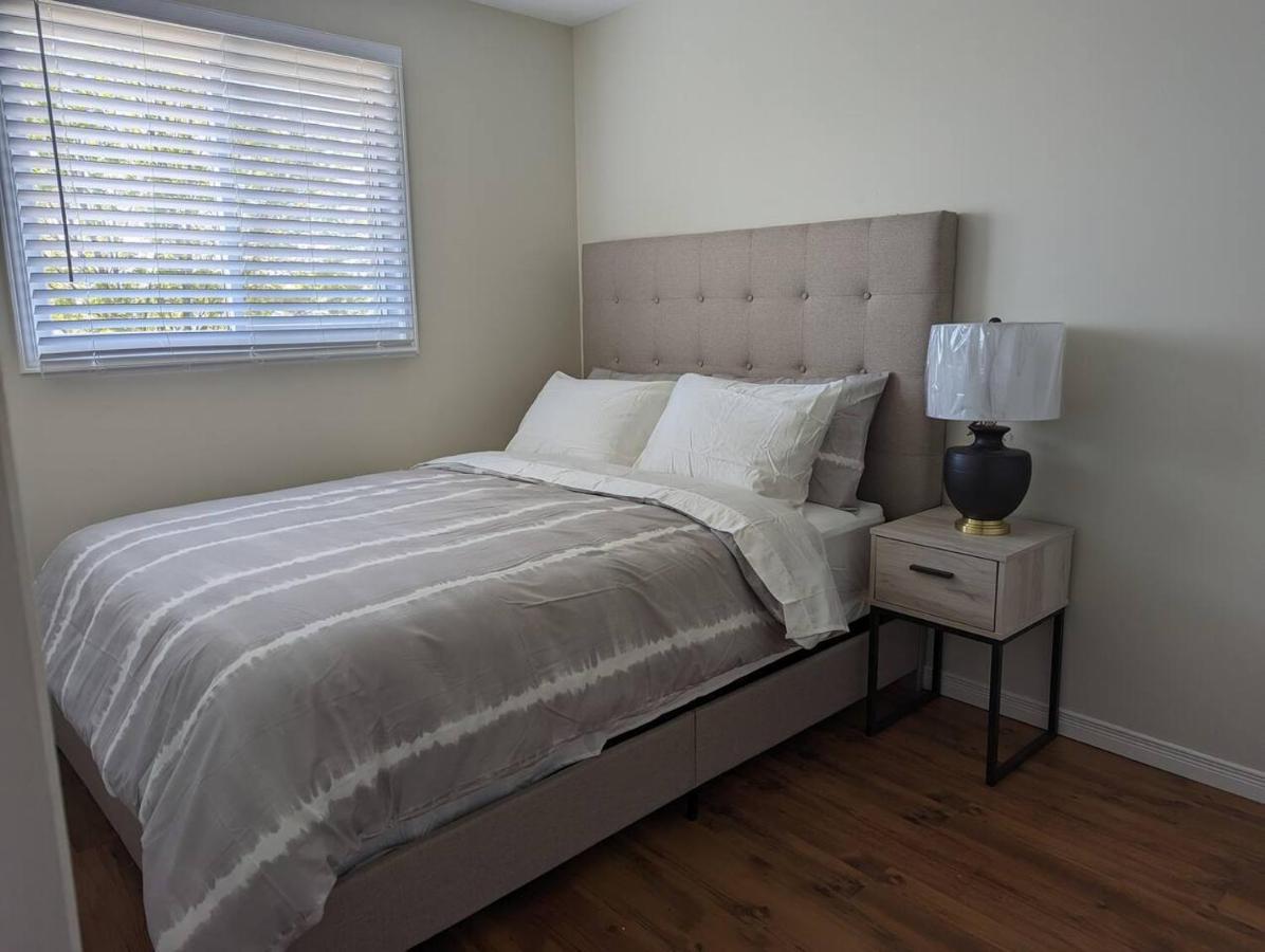 Vila Adorable 4 Bed,3 Bath House Kingston Exteriér fotografie